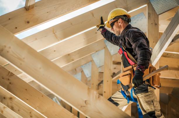 Best Roof Gutter Cleaning  in Southmayd, TX